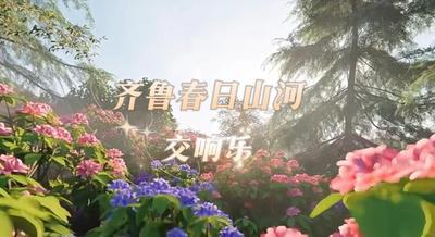 春分特别策划｜准备好了吗？请聆听由齐鲁春日山河演奏的交响乐！