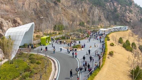 上春山，快来浮山森林公园享受慢时光