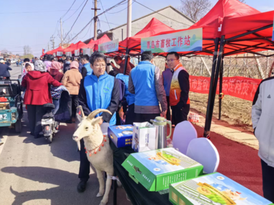 3400余名农技人员深入一线，青岛市2025年农业科技下乡暨农业科技大集举行