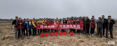 不负好春光！西海岸新区快递行业开展“速递先锋·共筑绿色家园”植树活动