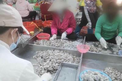 3·15晚会丨“保水虾仁”，浮出水面！1斤虾仁7两冰……