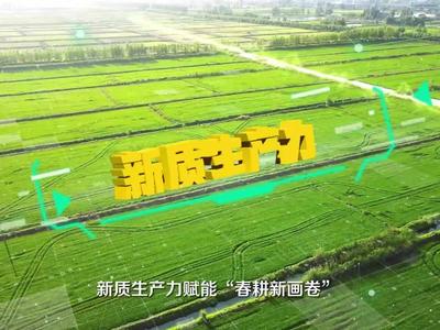 闪电评论｜因地制宜发展农业新质生产力，齐鲁农业“挑大梁”“换新颜”