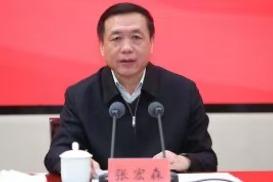 张宏森当选中国作协主席