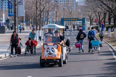 @青岛人，“心里有事”别硬扛，12356热线来帮忙！一文了解→