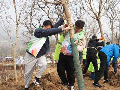 “我们今天种了50棵树，相当于未来可减少约900千克/年的碳排放”