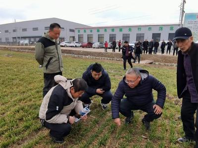 春管春耕春来早，专家送课正当时