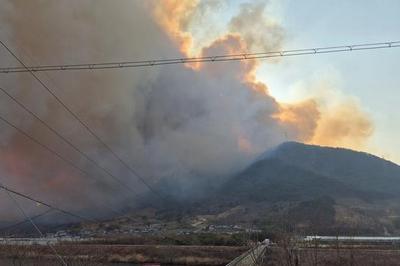 山火扩散，韩国多地进入灾难状态