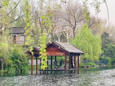 闪电评论丨梨花清风起 清明吹拂“文明风”