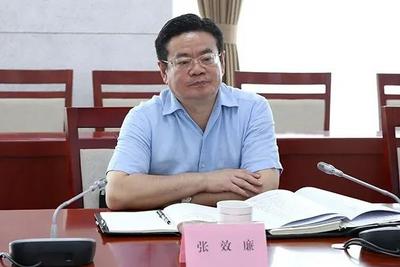 十三届全国政协经济委员会副主任张效廉被开除党籍