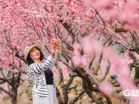 上春山！来百果山共赴烂漫春花之约