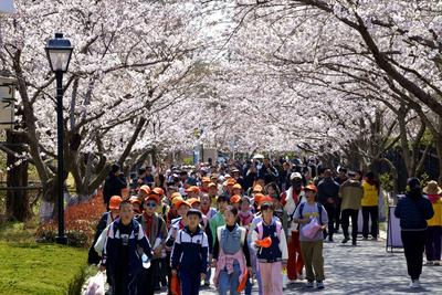 事关1670多万学生群体，六部门发布重磅文件