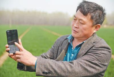 “科学种田，咱得赶趟儿”——山东农民杨长胜用智能设备打理8000亩麦田