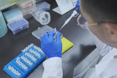 山东发布全球首个六倍体小麦端粒到端粒（T2T）完整基因组图谱