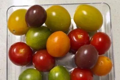 “天选减肥果”竟是它！低卡高纤还美味，多吃不怕胖