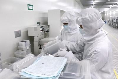 自主创新突破“卡脖子”的有研科技缘何落户德州？| 行走黄河
