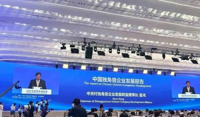 闪电评论丨让山东独角兽企业在新领域新赛道 跑出加速度