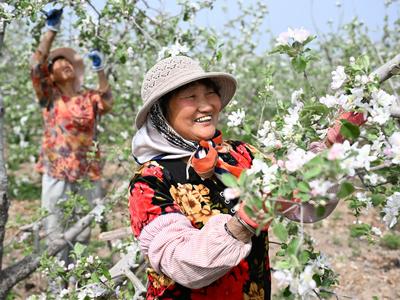 “谷雨”时节，田间一幅春和景明农耕图