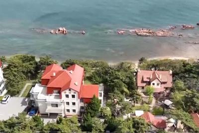 红瓦绿树邂逅光影艺术，青岛八大关以影兴旅打造新地标