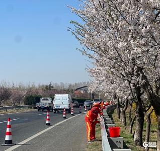 西海岸新区“公路卫士”假期坚守岗位，确保国省干线安全畅通