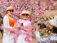 上春山！来百果山共赴烂漫春花之约