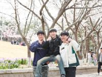 在海大，清明假期，从赏樱开始