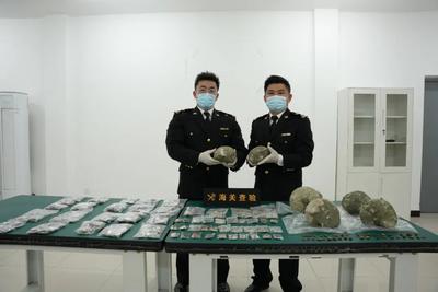 冒充玻璃摆件，海关在出口快件渠道查获2366件古生物化石