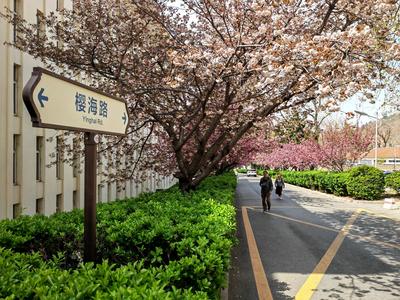 中国海大4项试点任务获批教育部学科专业设置调整优化机制改革试点