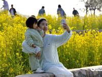 青岛女姑山公园油菜花海火出圈