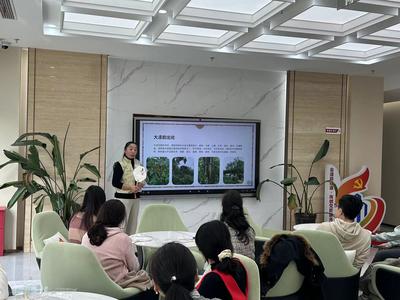 市南區：黨建引領聚合力 樓社共融譜新篇
