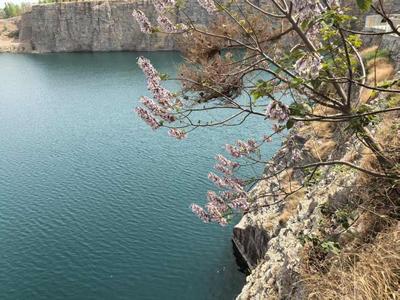 缤纷业态引客来——山东多措并举推动文旅产业高质量发展观察