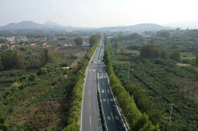 国际先进！青岛两项公路课题研究通过鉴定