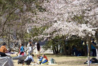 春假“带飞”清明节旅游，小长假“含娃量”爆表