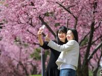 春暖花开，李村河开启春日“美颜”模式