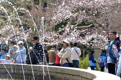 未来三天山东大部以晴好天气为主，今日中东部局地有雷雨或阵雨