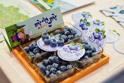 “黄岛蓝莓”品牌推介活动走进浙江温州