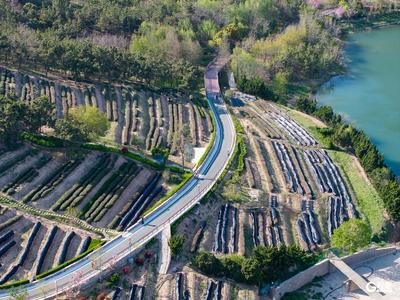 青岛浮山春韵：山林自然与城市活力的交响
