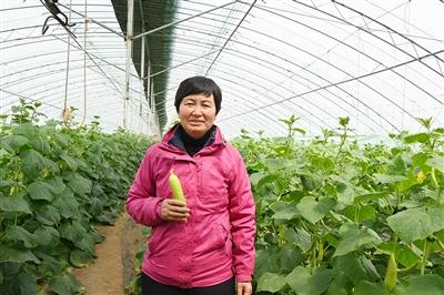 金牌經(jīng)紀(jì)人和她的賣菜日記