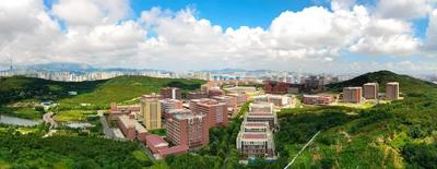 市委书记一线把脉，青岛如何让高校成为创新“策源地”