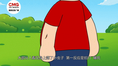 毒液堪比硫酸！这种虫子飞到身上千万别拍
