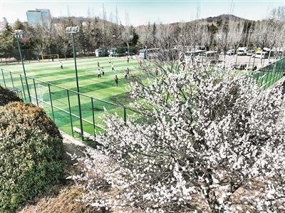 青島上榜清明假期民宿預(yù)訂十大熱門城市