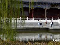 春风拂面，青岛这个国风公园开启繁花模式