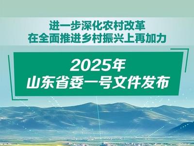 2025年山东省委一号文件发布！一图速览，划重点！