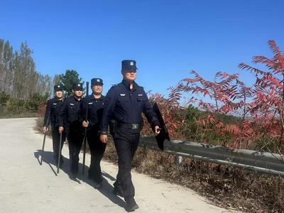 以“平安蓝”护航“生态绿”！青岛深耕“生态警务”守护绿水青山