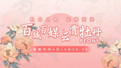 百城百媒·云赏牡丹