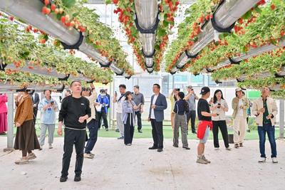 万千气象看山东丨网络名人走进兰陵：“科技范”拉满，农业大县华丽蝶变