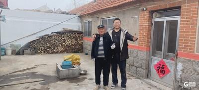 四位热心人连干两个周末，青岛这位老人圆了“安居梦”