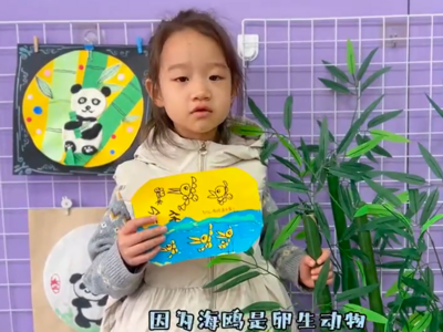 湖南路幼儿园：“小公民教育课程”赋能，萌娃开启环保探索之旅