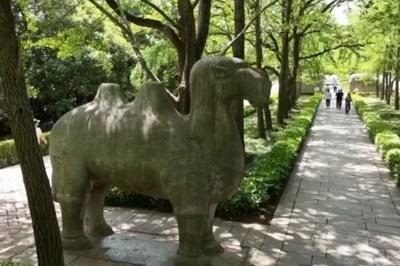 “世界文化遗产”明孝陵内石兽遭涂鸦，景区倡导游客文明旅游