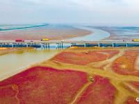 青岛西海岸迎来“颜值巅峰”，五河口红海滩湿地如梦似幻