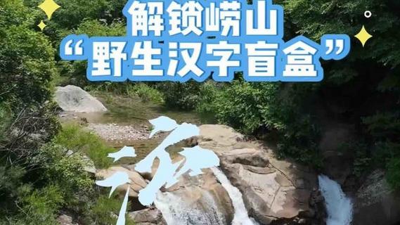 解锁崂山“野生汉字盲盒”